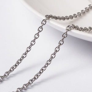 Stainless Steel Chain