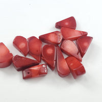 Coral Chips Beads (3pcs)