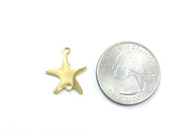 Stainless Steel Starfish Link
