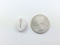 Seashell Acrylic Beads (7pcs)
