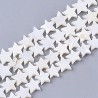 Star Shell Beads Strand
