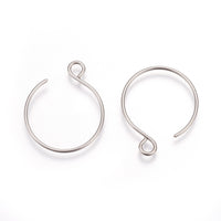 Stainless Steel Earring Hooks (2pcs)