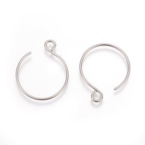 Stainless Steel Earring Hooks (2pcs)