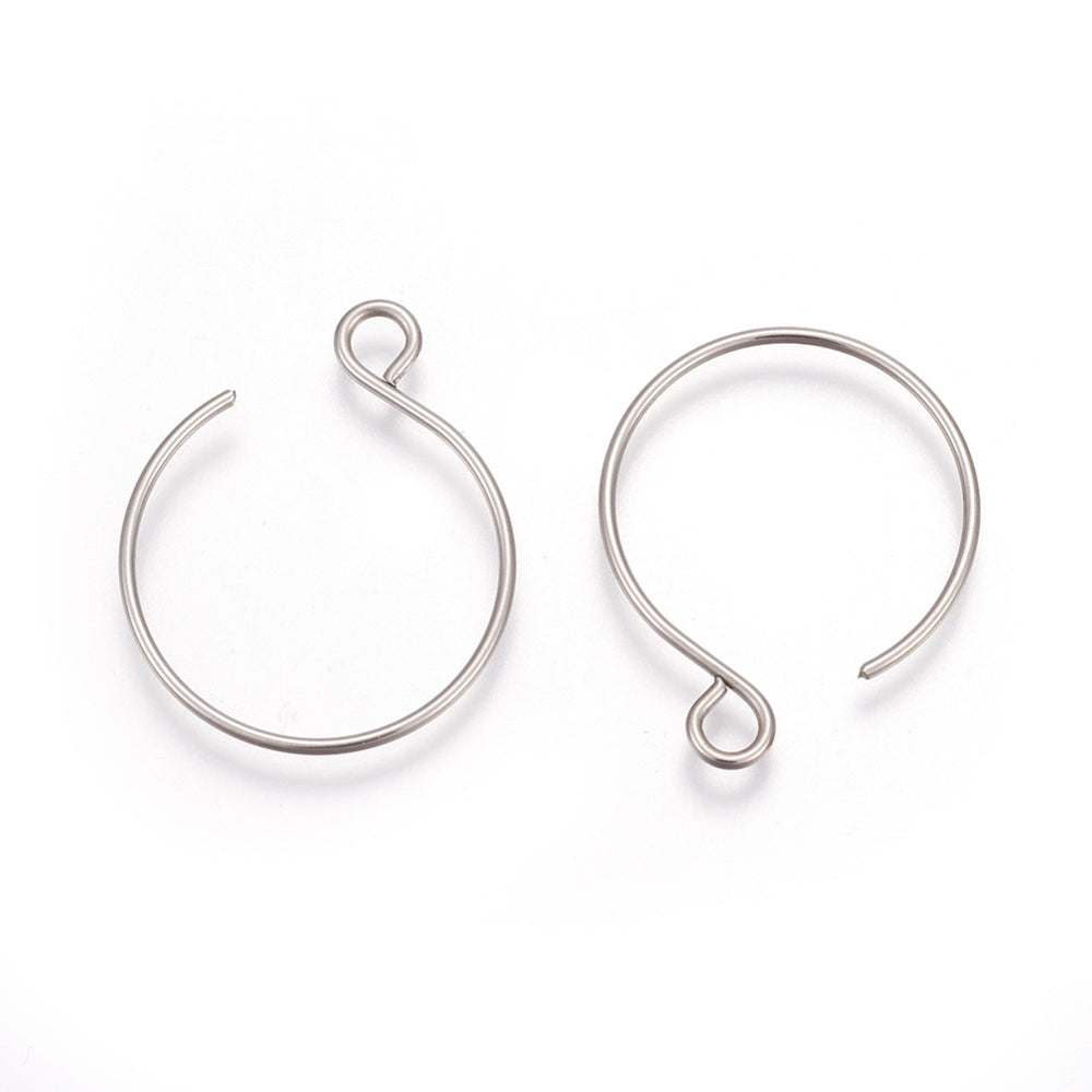 Stainless Steel Earring Hooks (2pcs)