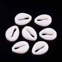 Seashell Acrylic Beads (7pcs)